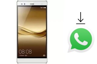 Cómo instalar WhatsApp en un Hotwav Cosmos V5