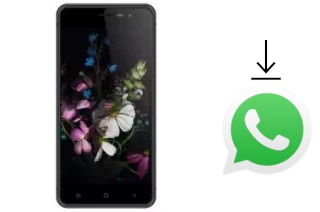 Cómo instalar WhatsApp en un Hotwav Cosmos V811