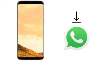 Cómo instalar WhatsApp en un Hotwav I8009