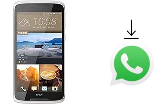 Cómo instalar WhatsApp en un HTC Desire 828 dual sim