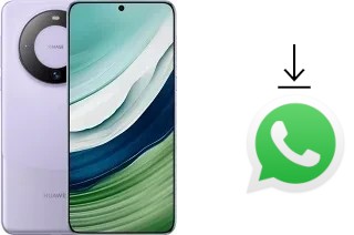 Cómo instalar WhatsApp en un Huawei Mate 60