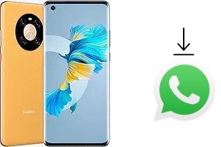 Cómo instalar WhatsApp en un Huawei Mate 40