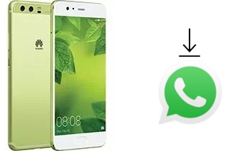 Cómo instalar WhatsApp en un Huawei P10 Plus