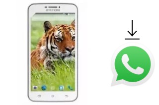 Cómo instalar WhatsApp en un Hyundai Tiger V2