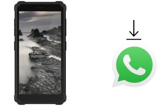 Cómo instalar WhatsApp en un IIIF150 H2022