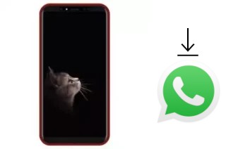 Cómo instalar WhatsApp en un Inovo I481