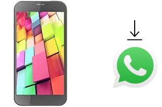 Cómo instalar WhatsApp en un Intex Aqua 4G+