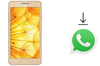 Cómo instalar WhatsApp en un Intex Aqua Xtreme II