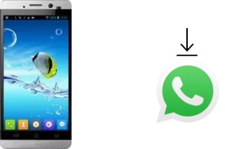 Cómo instalar WhatsApp en un JiaYu G3S