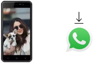 Cómo instalar WhatsApp en un Karbonn K9 Smart Selfie