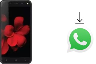 Cómo instalar WhatsApp en un Karbonn Titanium Frames S7