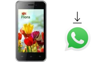 Cómo instalar WhatsApp en un KENEKSI Flora