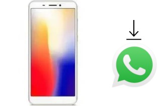 Cómo instalar WhatsApp en un Kenxinda T55