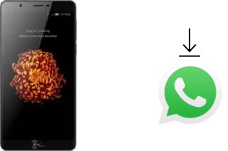 Cómo instalar WhatsApp en un Kenxinda V9