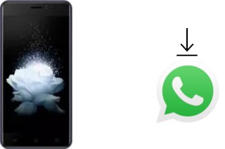 Cómo instalar WhatsApp en un Kenxinda W50