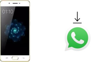 Cómo instalar WhatsApp en un Kenxinda X6