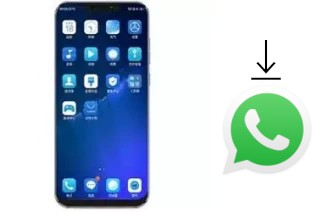 Cómo instalar WhatsApp en un Koobee F2 Plus