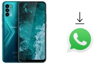 Cómo instalar WhatsApp en un Kruger-Matz LIVE 9