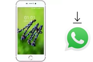 Cómo instalar WhatsApp en un L-Max Mega Plus 1