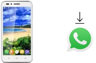 Cómo instalar WhatsApp en un Landvo V1