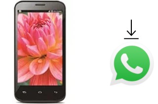 Cómo instalar WhatsApp en un Lava Iris 505