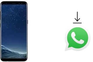 Cómo instalar WhatsApp en un Leagoo S8