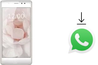 Cómo instalar WhatsApp en un Leagoo T1