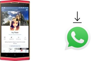 Cómo instalar WhatsApp en un Leagoo Venture 1