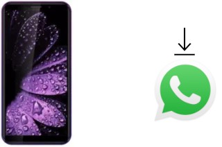 Cómo instalar WhatsApp en un Leagoo Z10