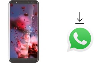 Cómo instalar WhatsApp en un Leagoo Z15