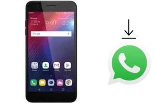 Cómo instalar WhatsApp en un LG Harmony 2