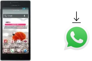 Cómo instalar WhatsApp en un LG Optimus G