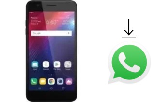 Cómo instalar WhatsApp en un LG Phoenix Plus