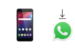 Cómo instalar WhatsApp en un LG Xpression Plus