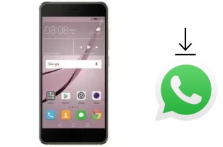 Cómo instalar WhatsApp en un Meeg 210R