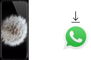 Cómo instalar WhatsApp en un Meiigoo Note 8