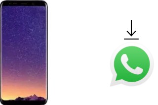 Cómo instalar WhatsApp en un Meiigoo S8