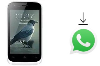 Cómo instalar WhatsApp en un Micromax Bolt A62