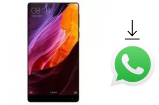 Cómo instalar WhatsApp en un Mione Mix 1