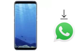 Cómo instalar WhatsApp en un Mione Mix 9 Pro