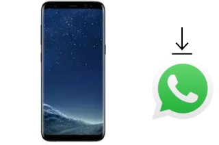 Cómo instalar WhatsApp en un Mione Mix 9