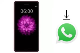 Cómo instalar WhatsApp en un Mione N9 Pro