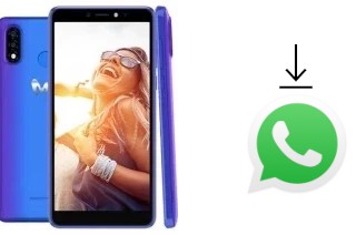 Cómo instalar WhatsApp en un Mobicel  R4