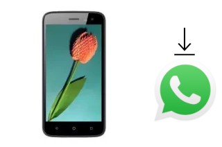 Cómo instalar WhatsApp en un Mobiola Wave 5