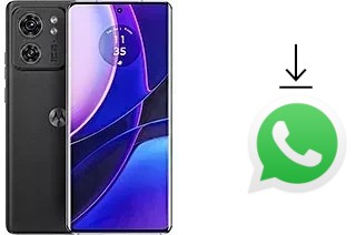 Cómo instalar WhatsApp en un Motorola Edge (2023)