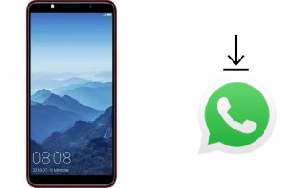 Cómo instalar WhatsApp en un Movic F6003