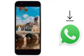 Cómo instalar WhatsApp en un Movic W5