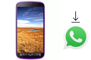 Cómo instalar WhatsApp en un MTO MK399