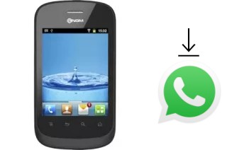 Cómo instalar WhatsApp en un NGM Action