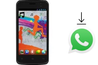 Cómo instalar WhatsApp en un NGM Forward Run